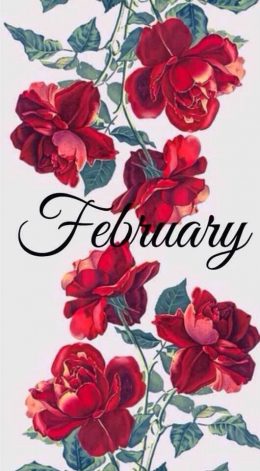 HD February Wallpaper