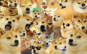 Desktop Doge Wallpaper