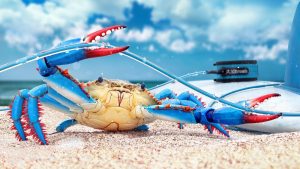 Desktop Crab Wallpaper