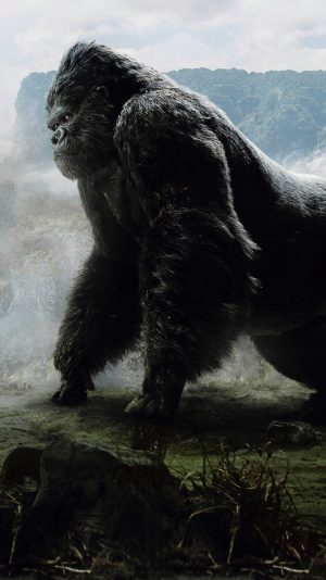 Godzilla vs Kong Wallpaper HD