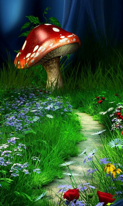 Backgraund Mushroom Wallpaper - EnWallpaper