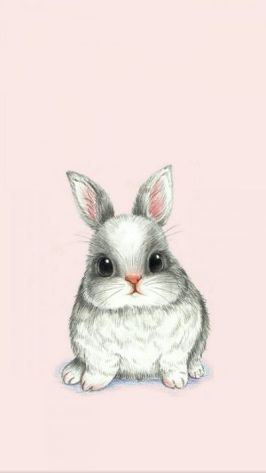 HD Rabbit Wallpaper