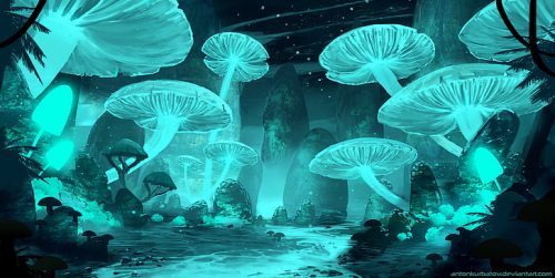 Desktop Mushroom Wallpaper