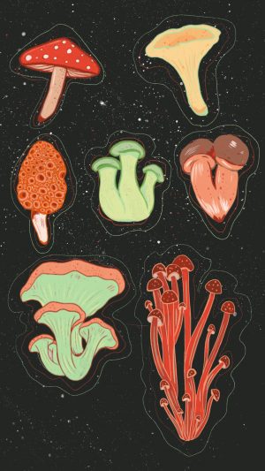 Backgraund Mushroom Wallpaper