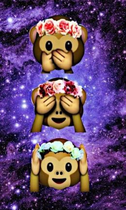 Monkey Wallpaper