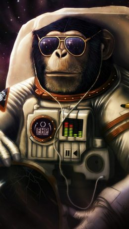Monkey Wallpaper