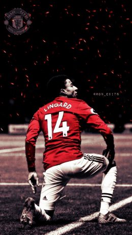 Lingard Wallpaper