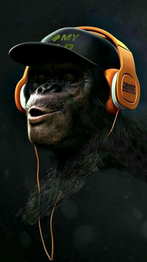 Monkey Wallpaper