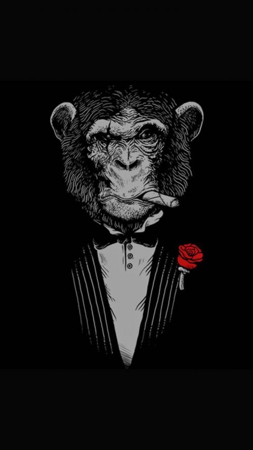 Monkey Wallpaper