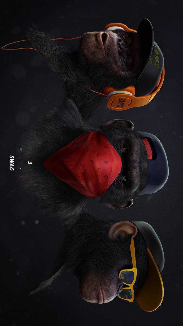 Monkey supreme wallpaper by blackfox333 - Download on ZEDGE™