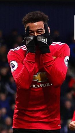 Lingard Wallpaper