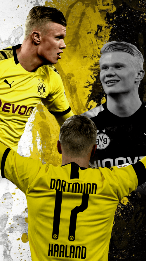 Haaland Dortmund Wallpaper