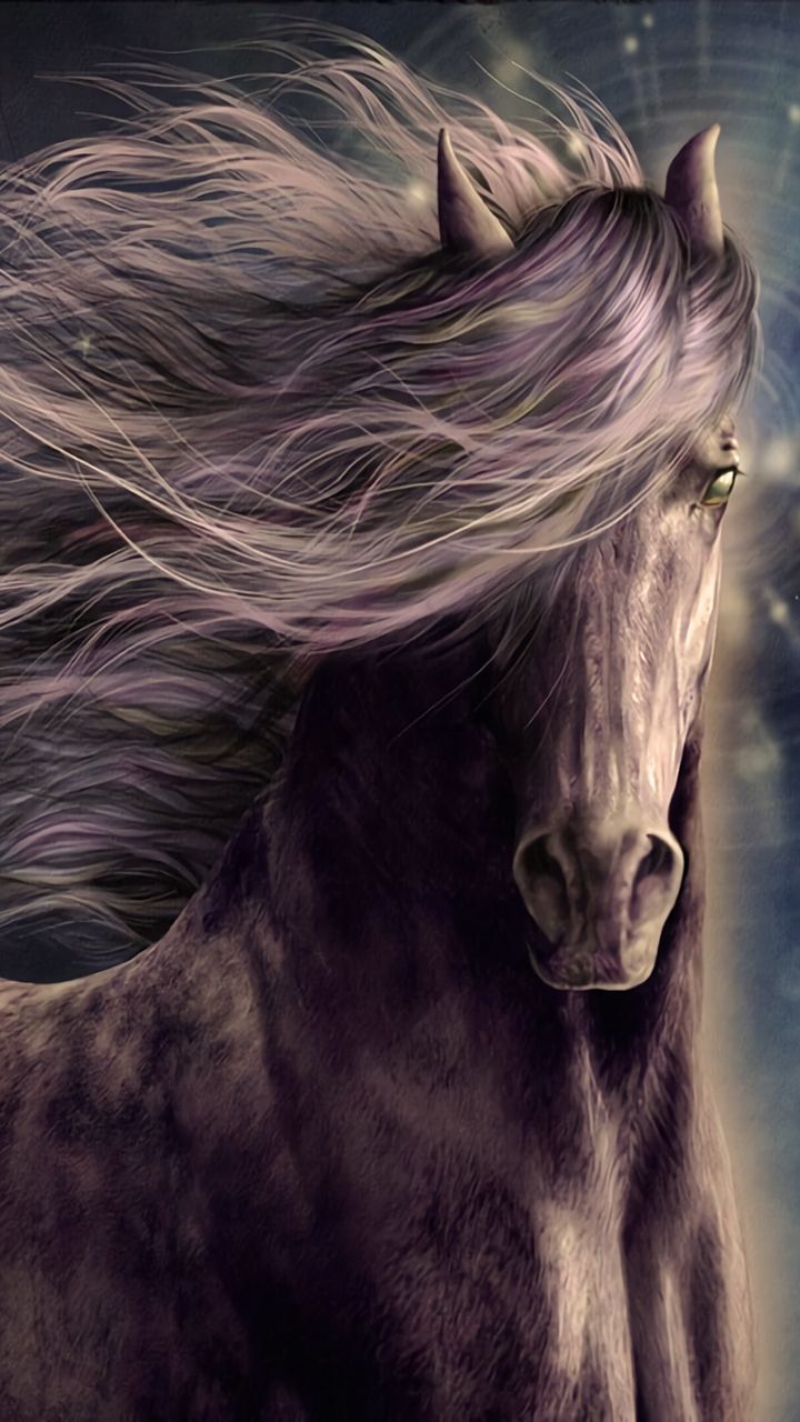 HD Horses Wallpaper