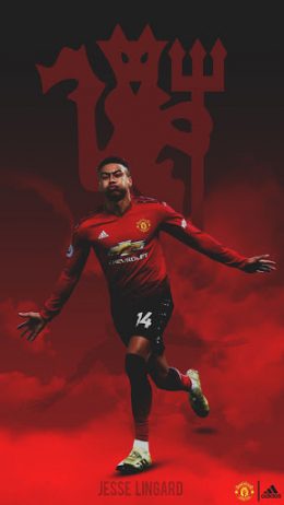 Background Lingard Wallpaper