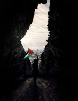 Free Palestine Wallpaper