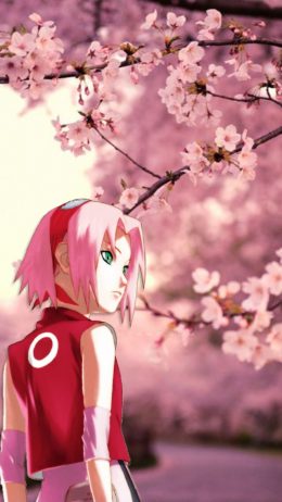 Sakura Haruno Wallpaper HD