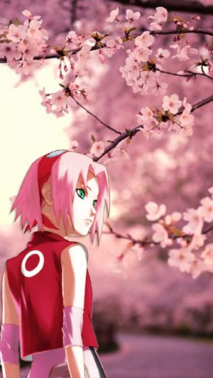 Sakura Haruno Wallpaper HD