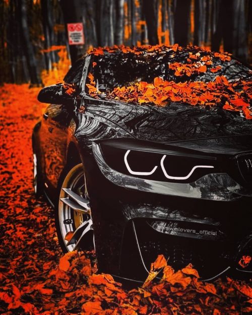 Bmw Wallpaper