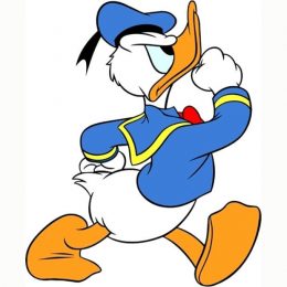 Background Donald Duck Wallpaper