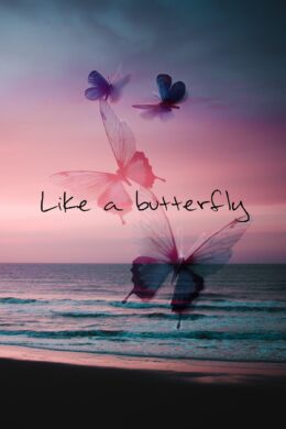 BTS Butterfly Wallpaper