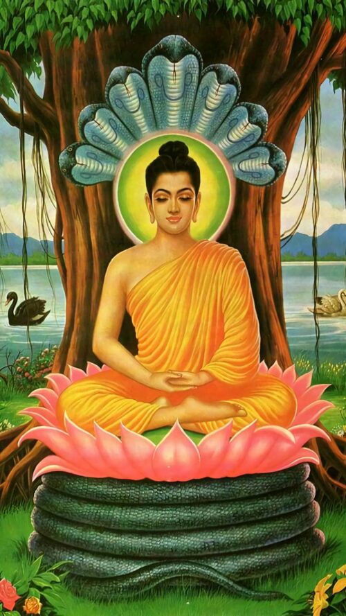 Gautam Buddha Wallpaper