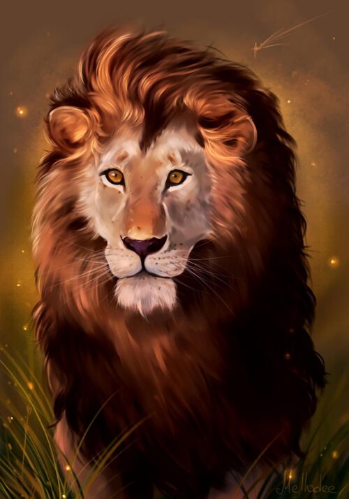 Lion Wallpaper