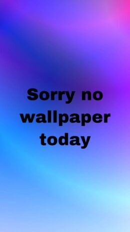 Sorry No  Today Wallpaper