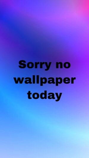 Sorry No  Today Wallpaper