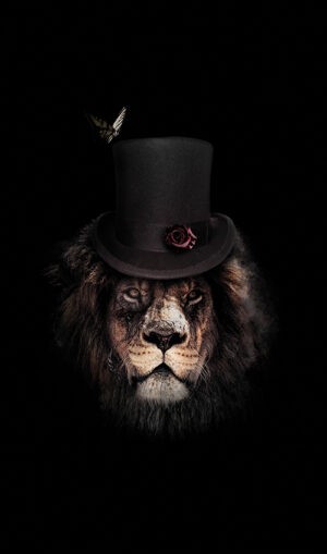 Lion Wallpaper
