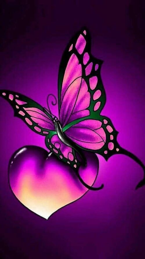 Butterfly Wallpaper