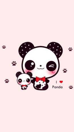 Cute Panda Wallpaper