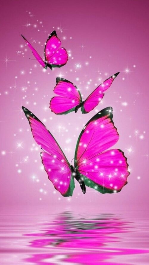 Butterfly Wallpaper