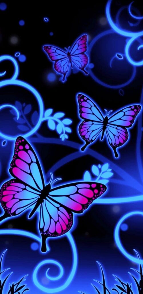 Butterfly Wallpaper HD