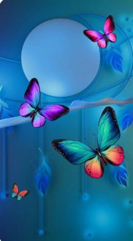 Butterfly Wallpaper