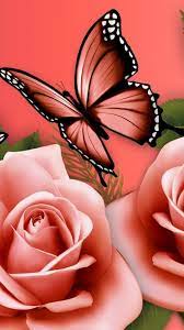 Butterfly Wallpaper