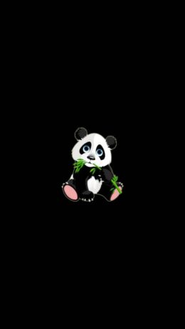 Cute Panda Wallpaper