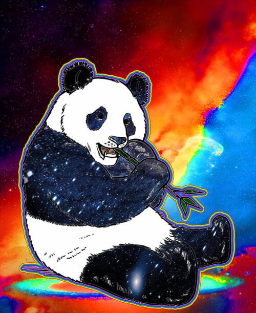 Panda Wallpaper