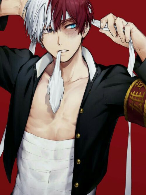 Shoto Todoroki Wallpaper HD