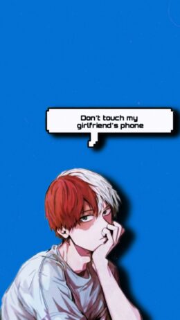 Shoto Todoroki Wallpaper HD