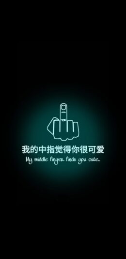 Middle Finger Wallpaper