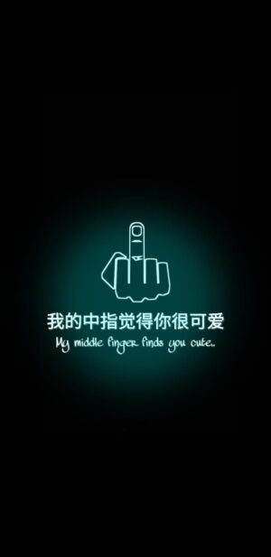 Middle Finger Wallpaper