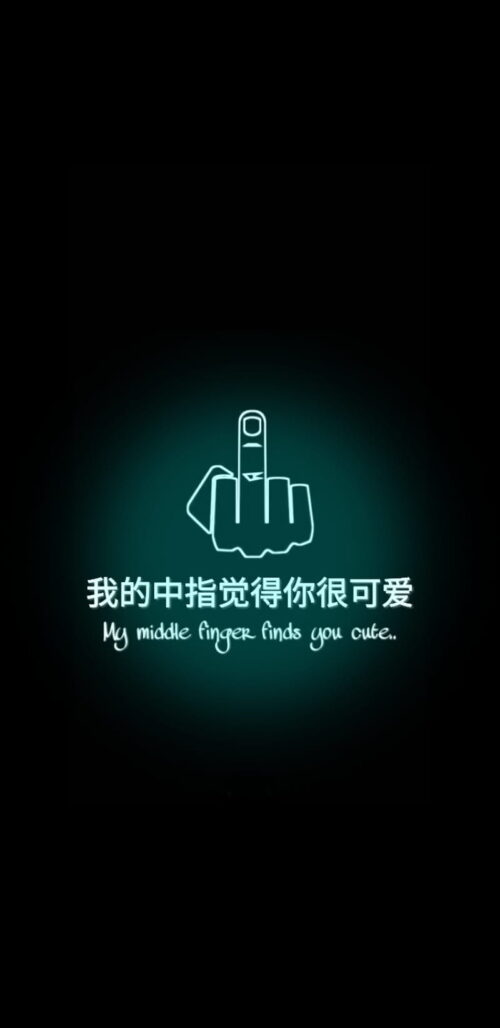 Middle Finger Wallpaper