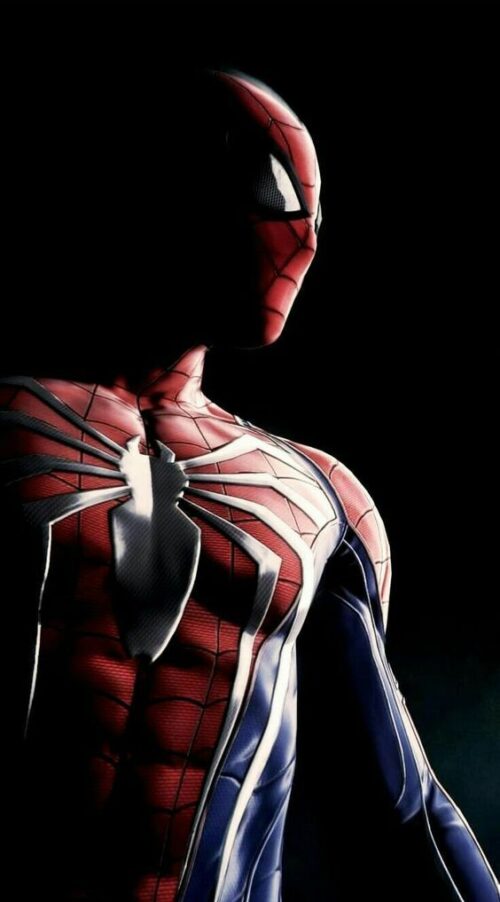 Spiderman Wallpaper HD