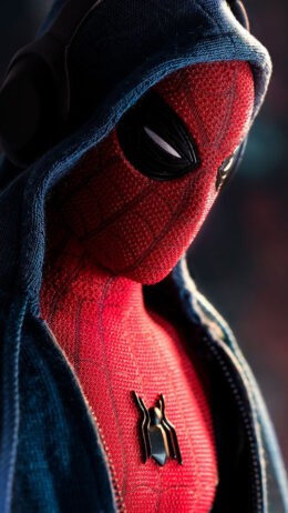 Spiderman Wallpaper HD