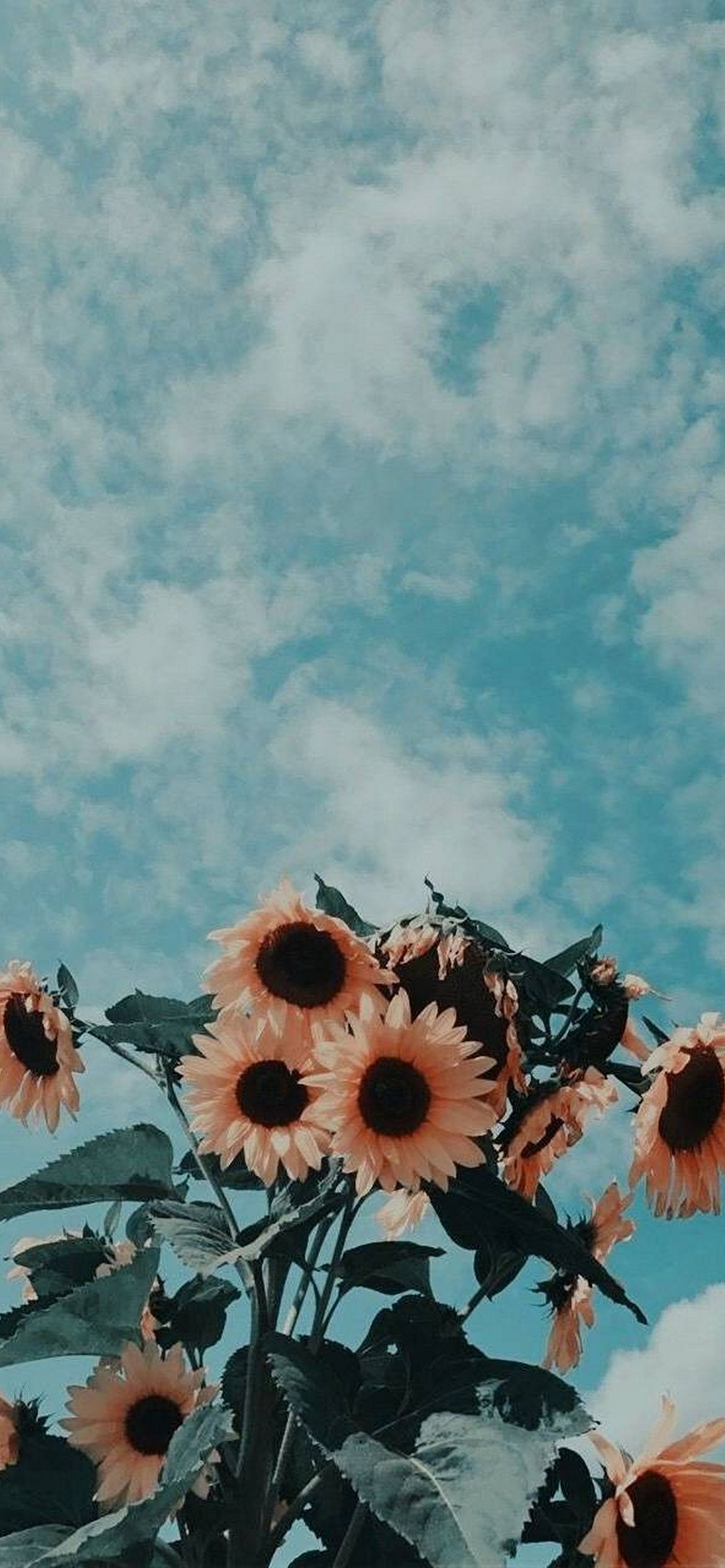 Aesthetic Wallpaper - EnWallpaper