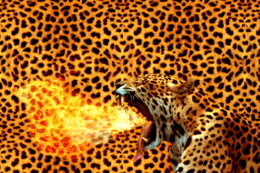 desktop Leopard Wallpaper