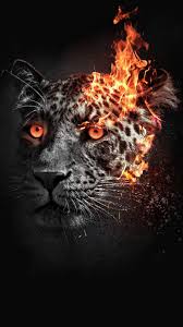 Leopard Wallpaper