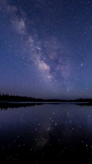 Starry Night Wallpaper