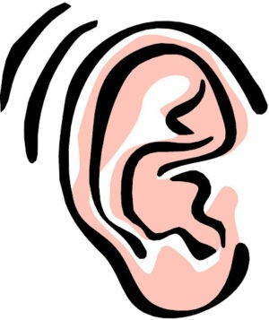 Ear Wallpaper