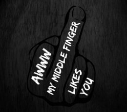 Middle Finger Wallpaper